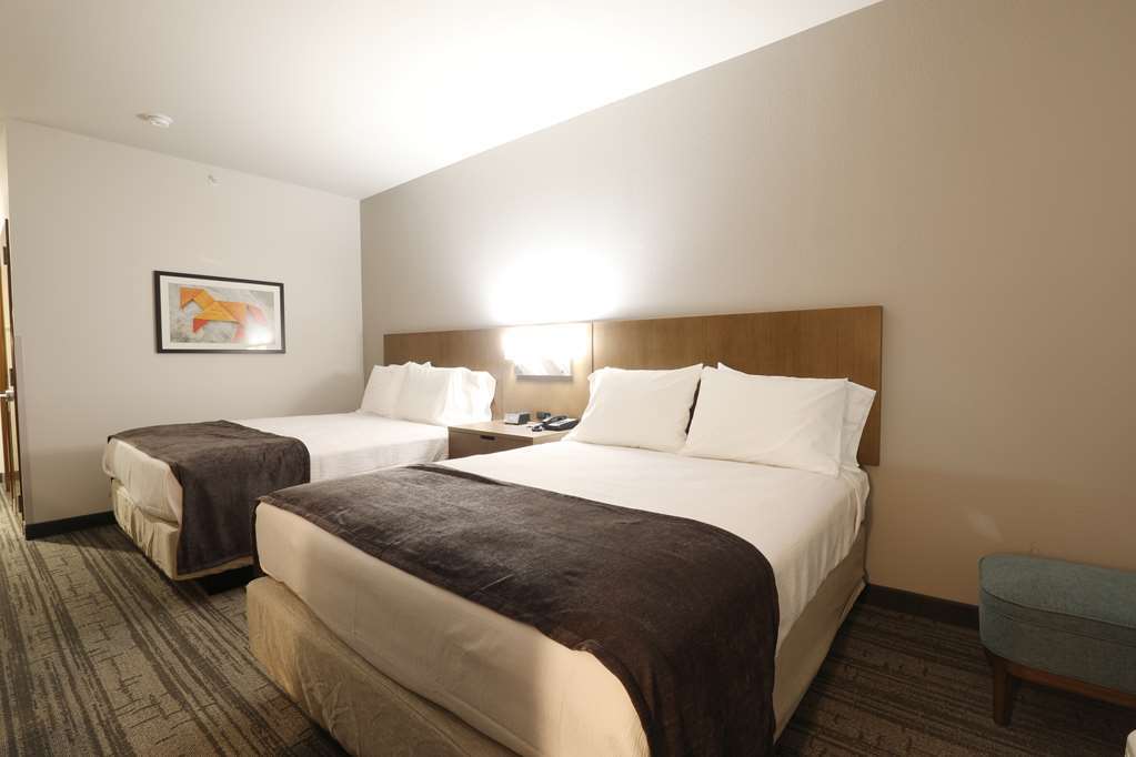 Best Western Green Oak Inn & Suites La Vernia Room photo